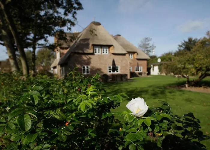 Vogelkoje Apartman *